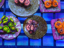 Zoa Frag Pink Zipper