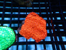 Goni small red