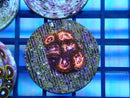 Zoa Frag Pink Zipper