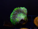 Frag Clear Out