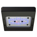 Ecotech Radion XR15 Gen6 Blue