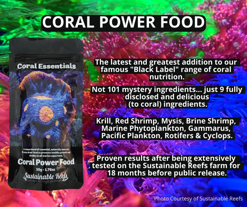 Coral Essentials Coral Power Food