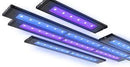 Aqua Illumination Blade Glow Actinic 12in 20w