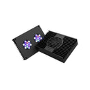 AI Hydra 32 HD Black
